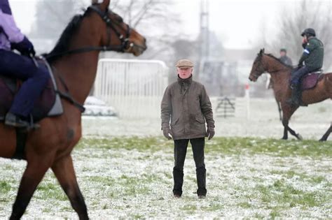 cheltenham races news